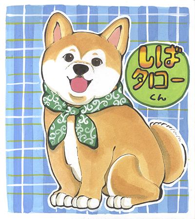 06